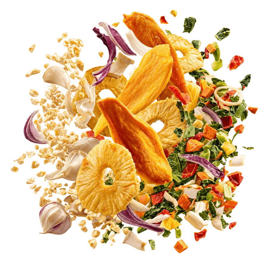 Premium Dehydrated Fruits & Vegetables - Mango, Pineapple, Onion, Garlic