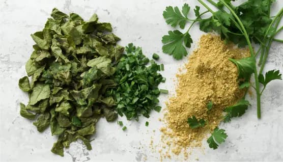 Dehydrated Coriander